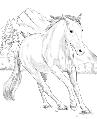 American Paint Horse Coloring Page